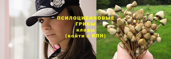 героин Зеленодольск